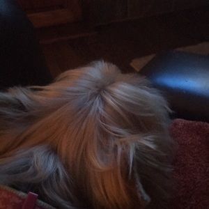 Meet your Posher, Leslie